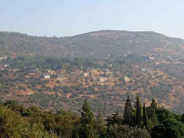 אמירים והר מצפה הימים ברקע