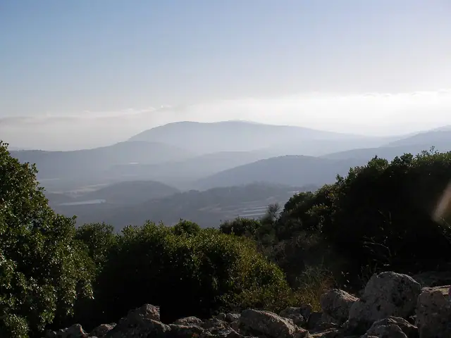 מדרונות מיוערים סמוך לאמירים
