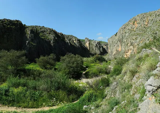 פנורמה של ערוץ נחל עמוד בין מצוקי הגיר