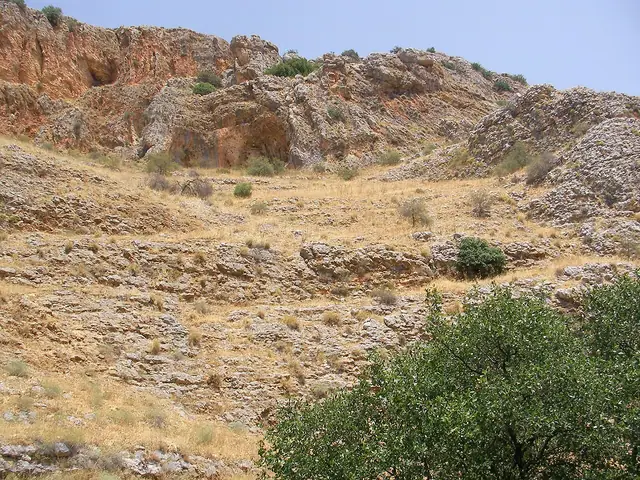 שביל מסומן יורד אל ערוץ נחל עמוד