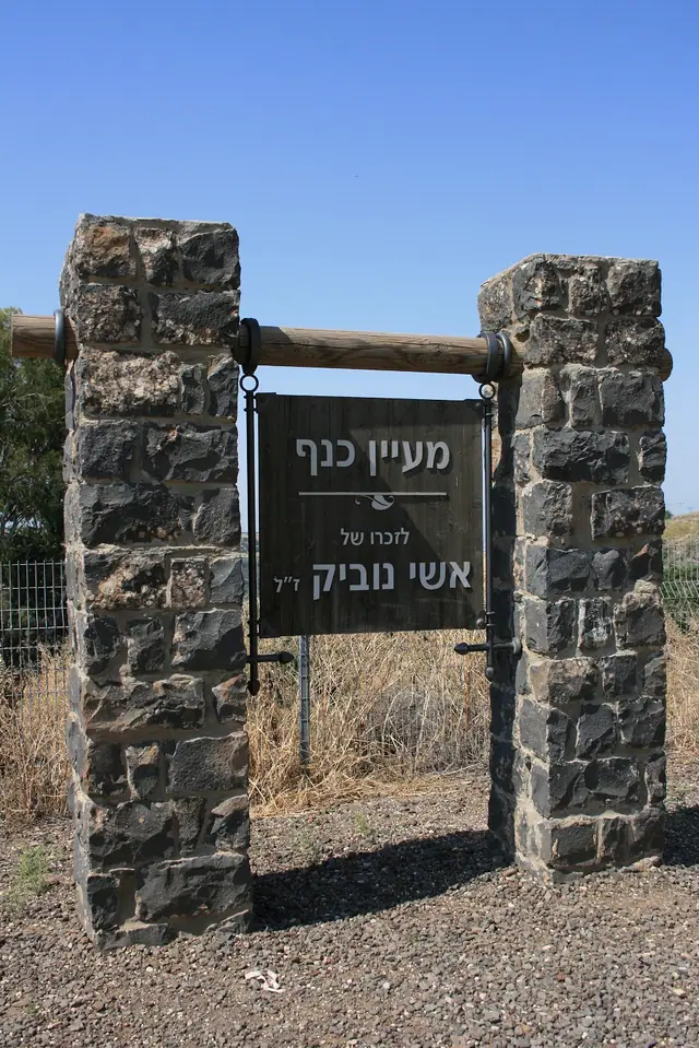 המעיין והבריכה בעין כנף בדרום הגולן