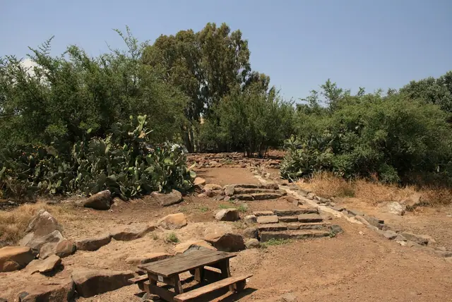 ערוץ נחל כנף והצמחייה סביב המעיין