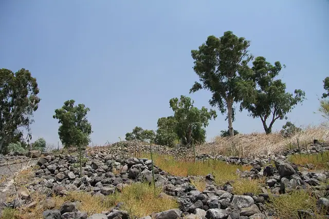 שרידי בית הבק בבקעת בית צידה, בסביבת מג׳רסה