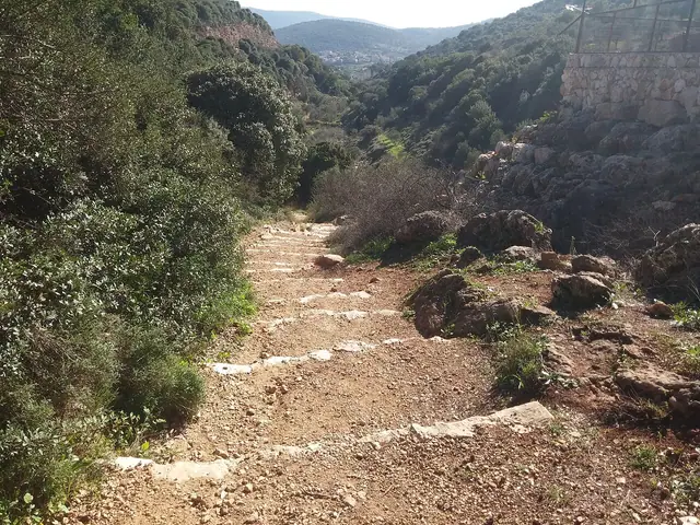 מים זורמים בגן הלאומי נחל צלמון