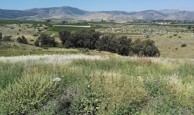 חורבת ירדה ומעיין עין ירדה, סמוך למשמר הירדן