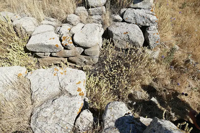 שרידי המצודה ביונתן